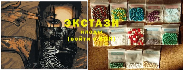 ГАЛЛЮЦИНОГЕННЫЕ ГРИБЫ Строитель