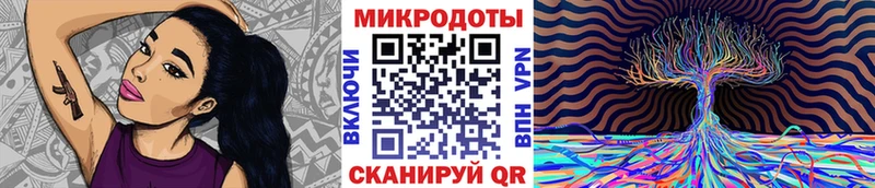 Галлюциногенные грибы Psilocybine cubensis  наркошоп  Бабушкин 